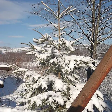 Holiday park Bozhena Mykulychyn