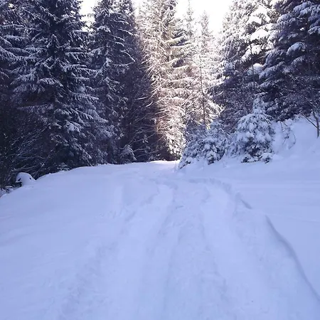 Bozhena * Mykulychyn